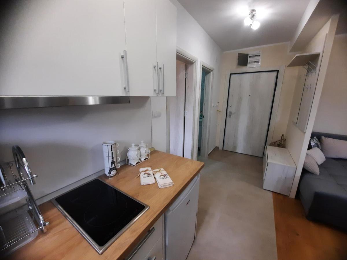 Apartman Koricanac Vrnjačka Banja Exterior foto