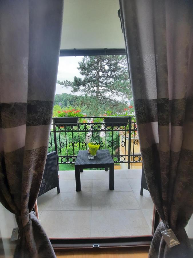 Apartman Koricanac Vrnjačka Banja Exterior foto
